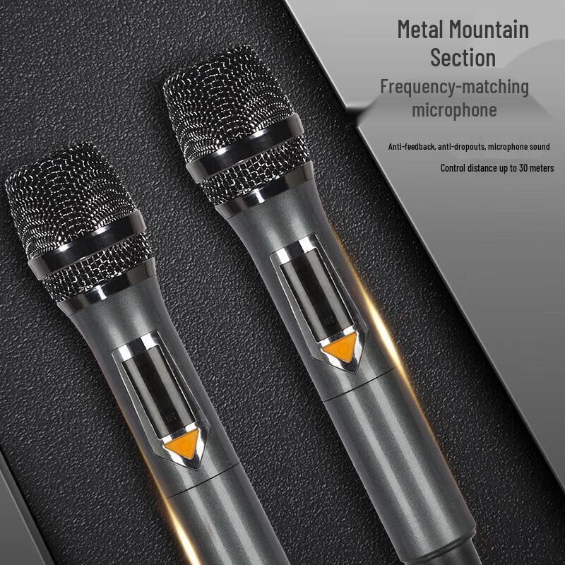 Malata Wireless Portable Outdoor Speaker CN plug (adapter included)