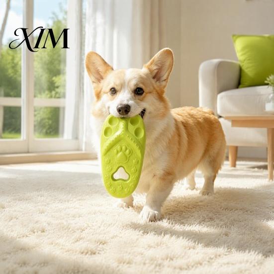 Teething Toys for Puppies Slipper Dog Chew Toy, Puppy Thong Sandal Shape, Interactive Durable Fetch Toy Small to Large Dogs, Pet Training