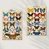 10PCS Vintage Natural Card Posters Sticker DIY Photography Room Cartoon Art Picture Props Collocation Decorative Desk Stickers
