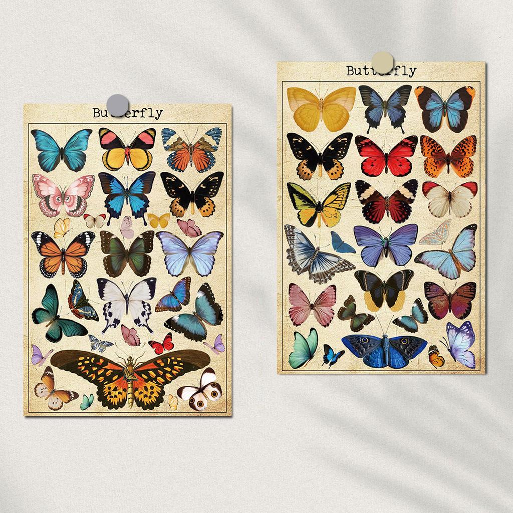 10PCS Vintage Natural Card Posters Sticker DIY Photography Room Cartoon Art Picture Props Collocation Decorative Desk Stickers