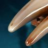 1 Stk. Natürliches Büffelhorn Kein Stress Guasha Massage Werkzeug Akupunktur Spa Therapie Gua Sha Massagegerät Schabebrett