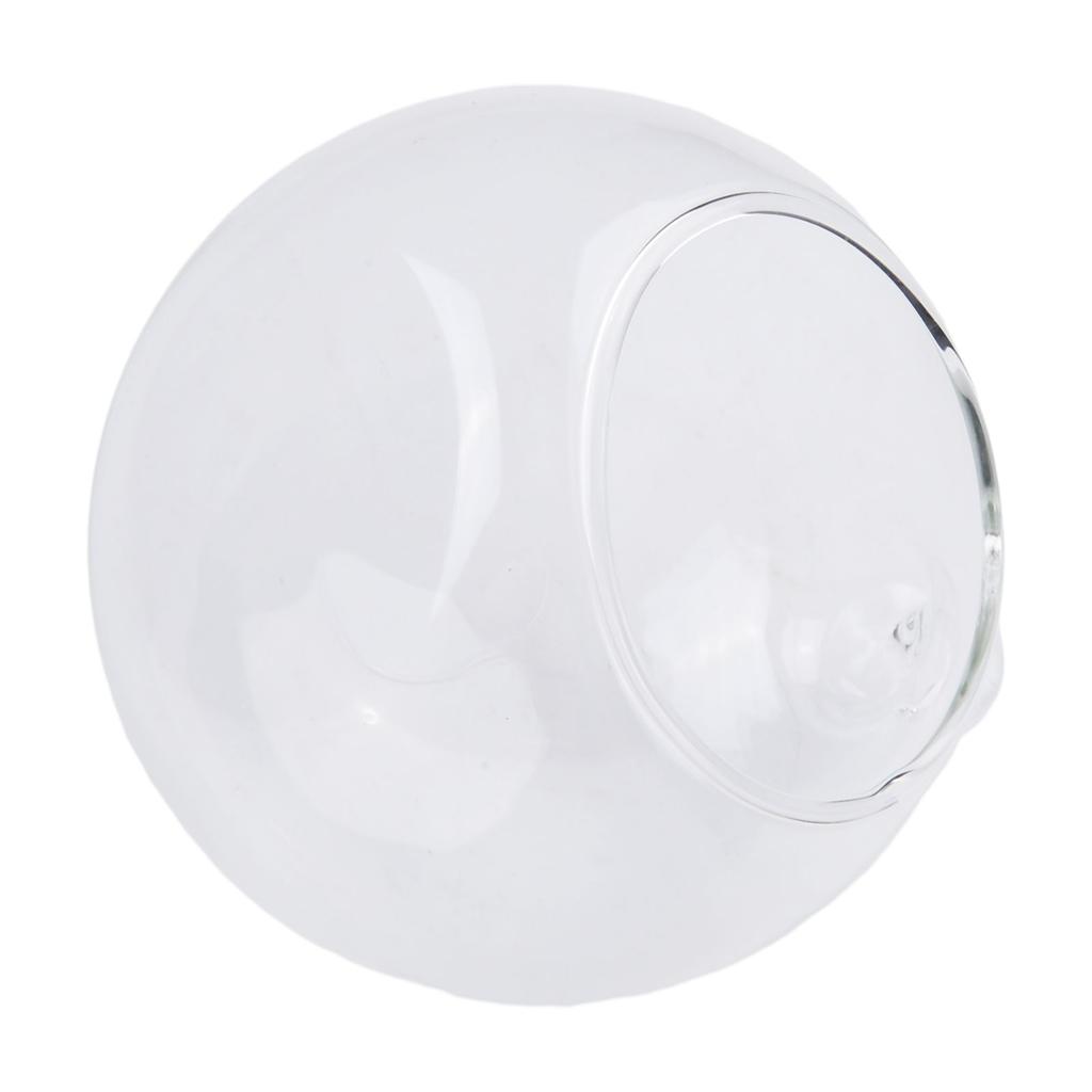 Brandneues Zuhause Glaskugel Hängend Sukkulente Tischteelichter Terrarium Behälter Flacher Boden Blumenschmuck