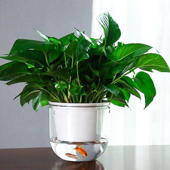 Hanging Self Watering Planter Flowerpot with Water Reservoir Wick Ropes Modern Plant Pot with Hanging Chain for Indoor Plants Ivy Spider Plants