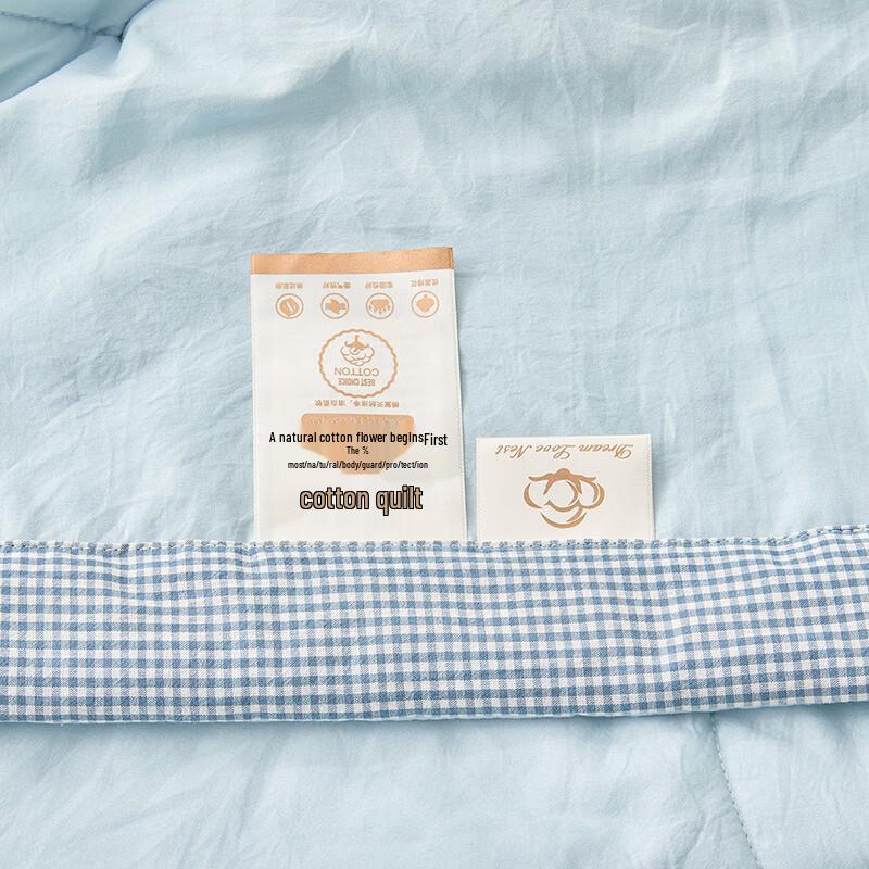 Yalu Xinjiang Cotton Summer Quilt