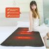 5V Heating Sleeping Mat Multi-functional Sleeping Mattress Cold Resistant 3-Level Temperature for Camping Hiking for Backpacking