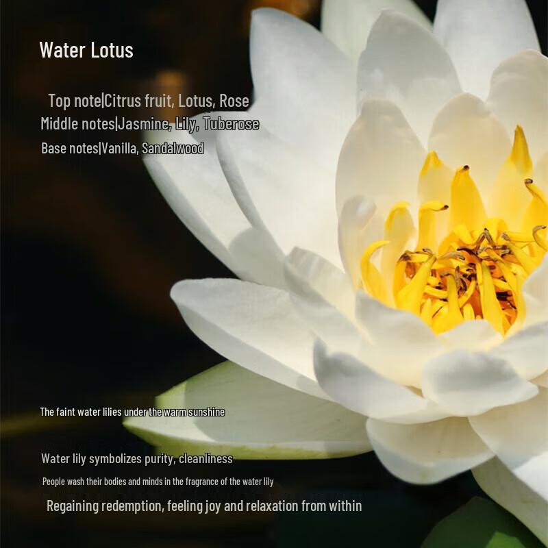 Oriental Gemstone Water Lily Scented Body Lotion