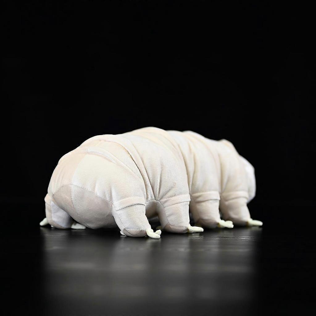 Tardigrade Plush Toy 12 Inch Realistic Water Bear Stuffed Animal for Science Lovers and Collectors