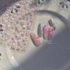 5D Shell Light Nail Stickers Pink Flowing Light Nail Stickers Versatile Star Butterfly Stickers For Nails Decorations DIY