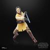Hasbro Star Wars Black Series Jedi Master Sol, Acolyte, Collectible 6-inch (15cm) Action Figure G0013, Authentic