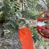 1Pc Berry Picker Reusable Pepper Scissors Portable Agricultural Garden Hardware Tools Pear Picker Tool For Garden Farm