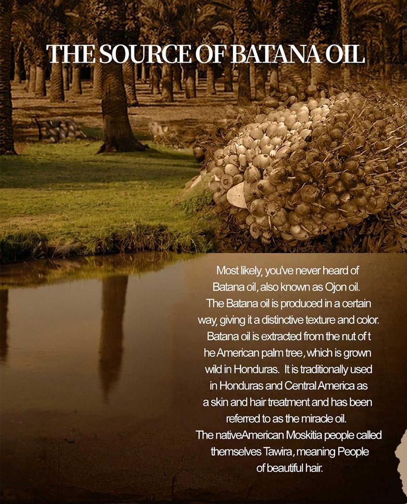 Batana & Rosemary Oil, Essential Oil, Deep Moisturizing for Men and Women for All Hair Types, Hair Serums