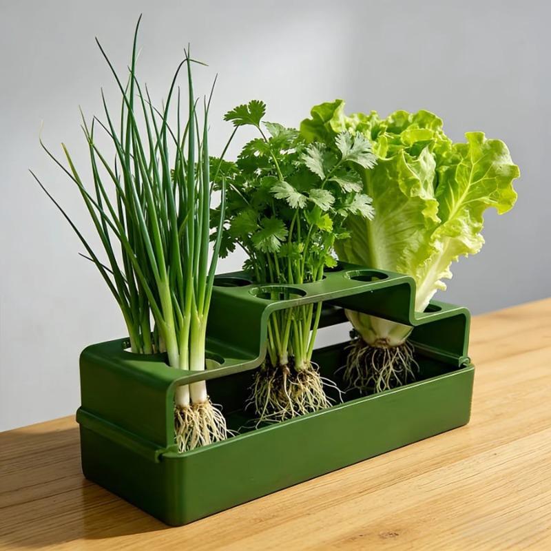 A Planting Device Specifically Designed for Green Onions, Featuring a Hydroponic System That Allows for Repeated Growth