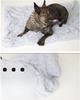 Double-Layer Plush Pet Blanket for Dogs & Cats - Warm, Comfortable Mat for All Sizes