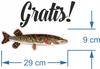 Sticker with Measurement - Carp