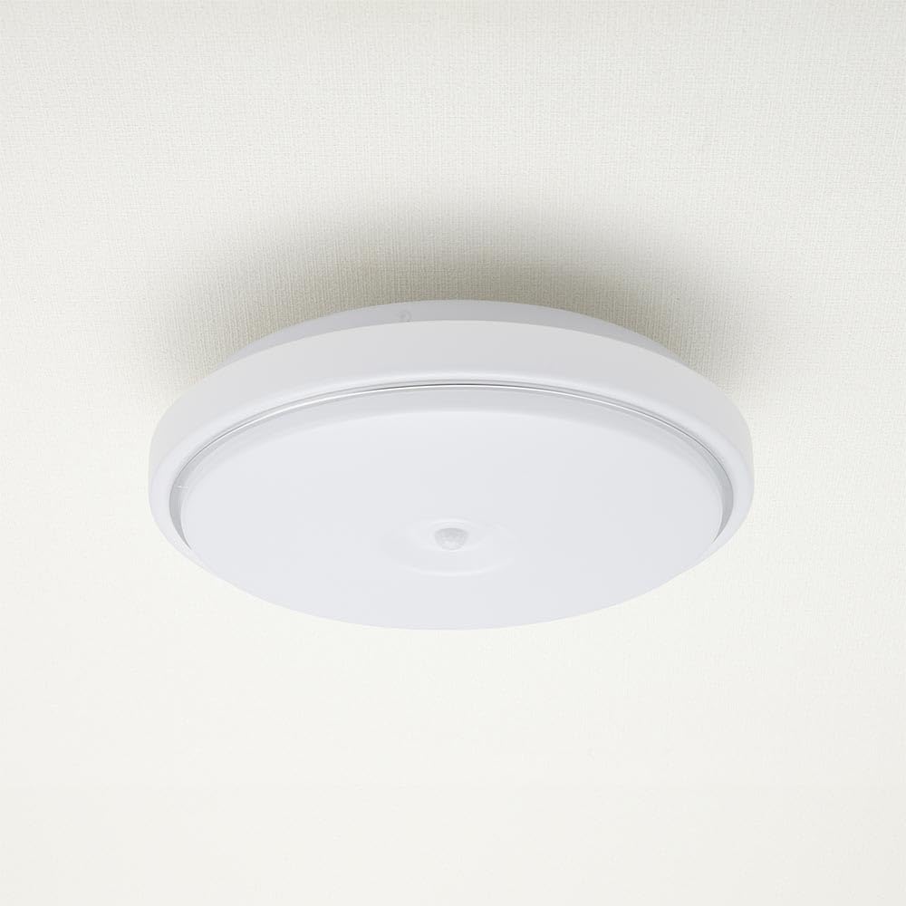 OHM LED Interior Entrance Light, Daylight | OHM Electric LT-Y18D-GB-PIR 06-5570