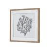 Hill Interiors Atol Coral Framed Art Print