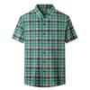 Summer Men's Short Sleeve Shirt Business Casual Top Wrinkle-Resistant