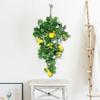 Real Lemon Wall Hanging Spring Lemon Green Plant Home Interior Wall Hanging Artificial Lemon Wall Hanging Imitation