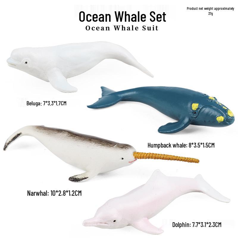 Children's Cognitive Marine Animal Models: Sea Turtle and Tortoise Toys