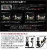 Shingen Replacement HID Bulbs, H4 Hi/Lo Switchable, 6000K, 35W/55W Compatible, Set of 2