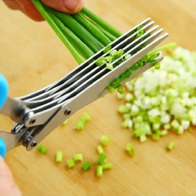 Ciseaux à échalotes, coupe-oignon et herbes, 5 lames, couteaux multifonctionnels en acier inoxydable, ciseaux, outils de cuisine