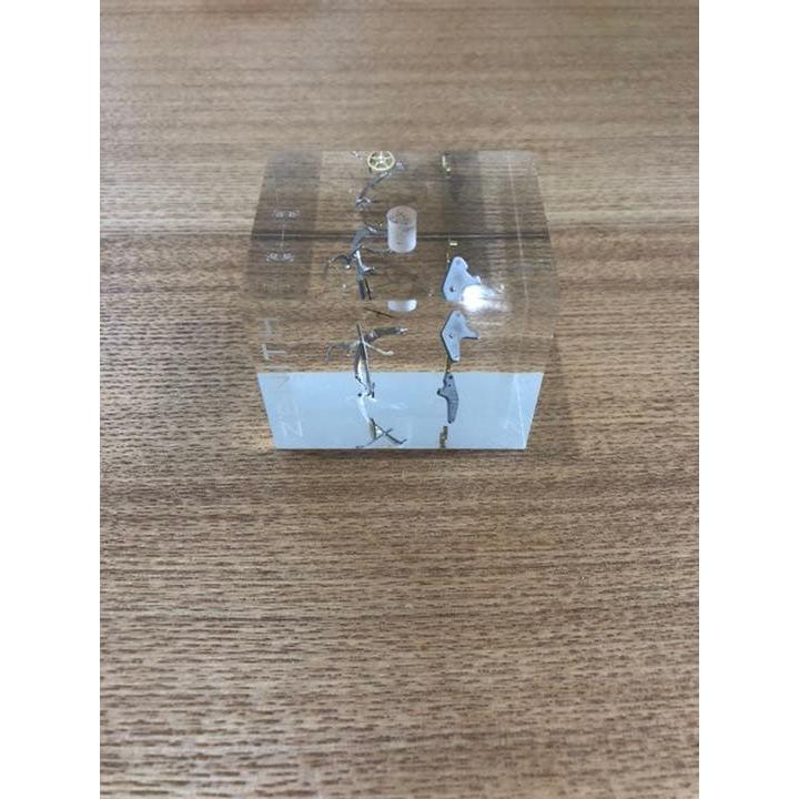 Used Zenith Object Not for Sale Watch Stand