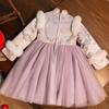 Winter 2025 Girls' Fleece-Lined Hanfu Dress: New Year Fairy Style, Traditional Children's Costume