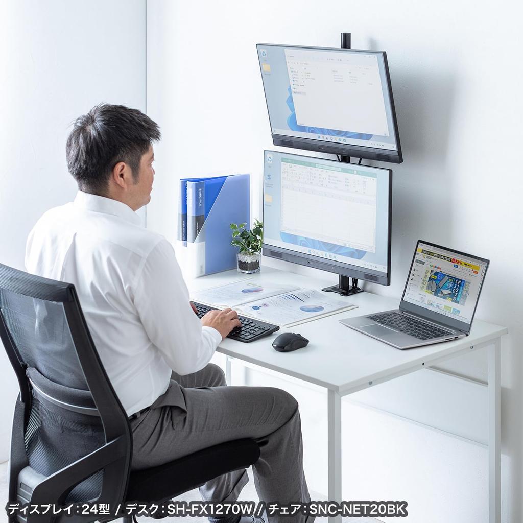 Sanwa Supply Dual Monitor Arm (Top and Bottom, Dual Screens) CR-LAC211BK