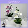Butterfly Orchid Artificial Flower With Realistic Design For Home Decor And Photography Use