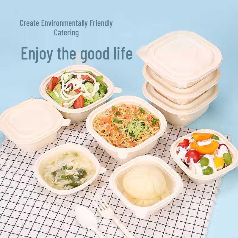 Disposable Square Plastic Food Containers