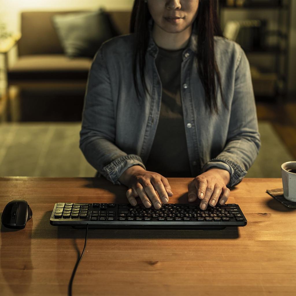 Sanwa Supply Silent Keyboard (Wired, with Numeric Keypad) SKB-SL37BK