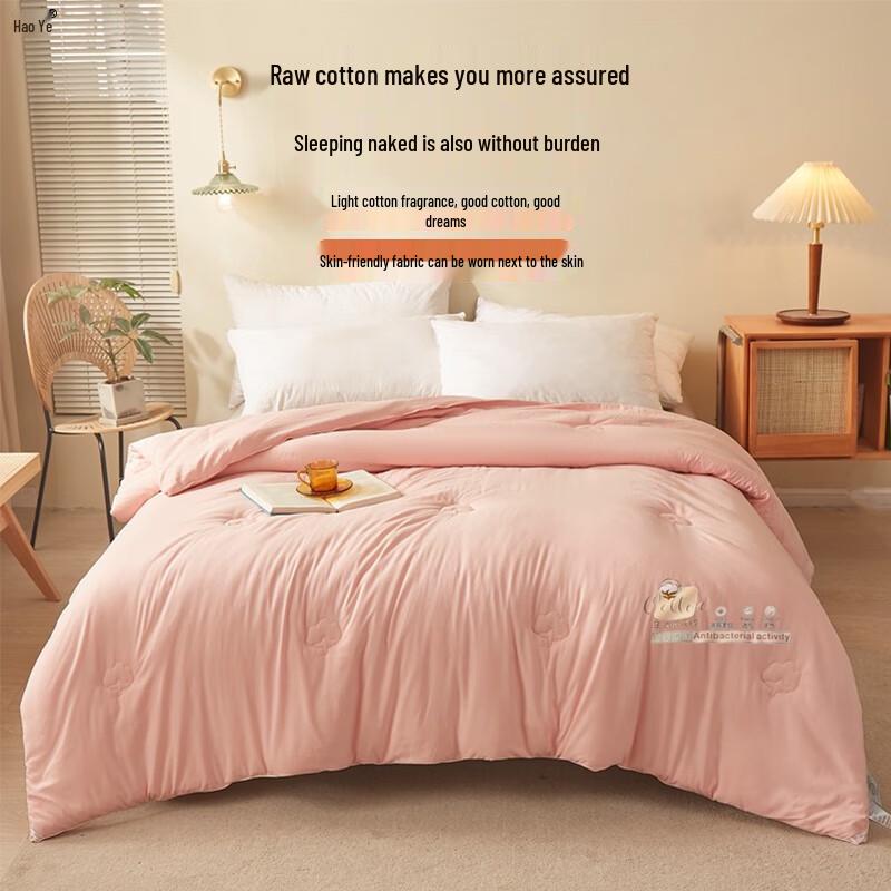 Haoye All-Season Thickened Cotton Quilt