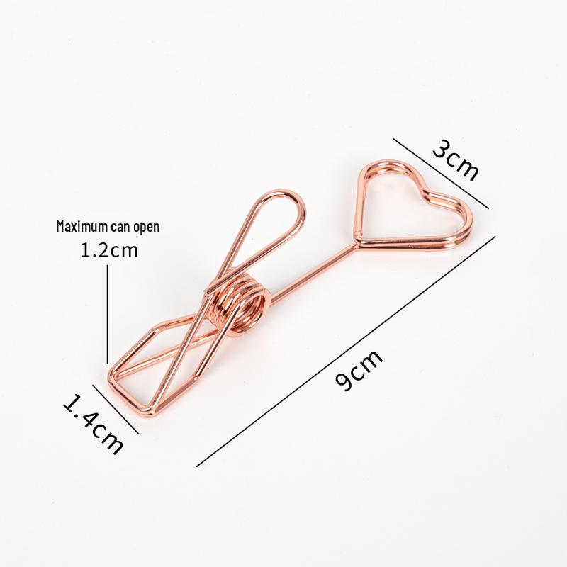 Support Clip Double Face en Acier Inoxydable pour Notes et Photos