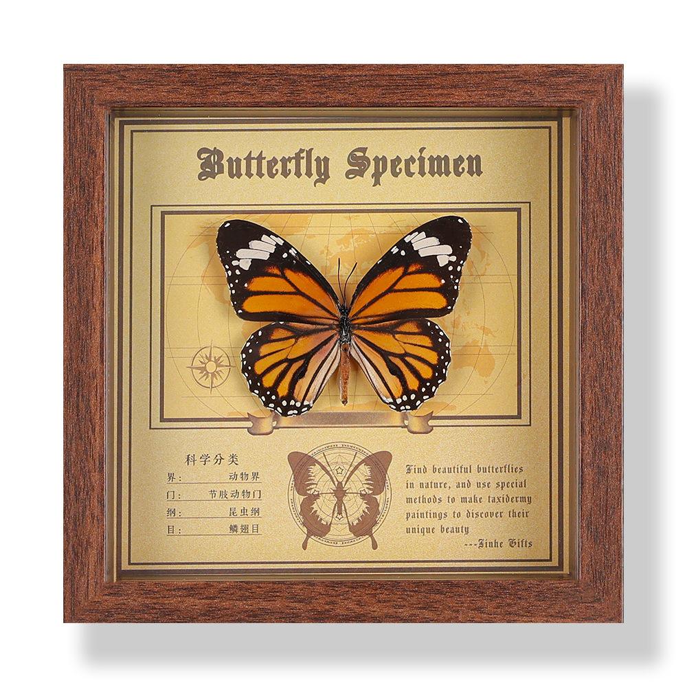 Real butterfly specimen photo frame, decorative painting, 3D ornament, handmade DIY, birthday gift, insect specimen