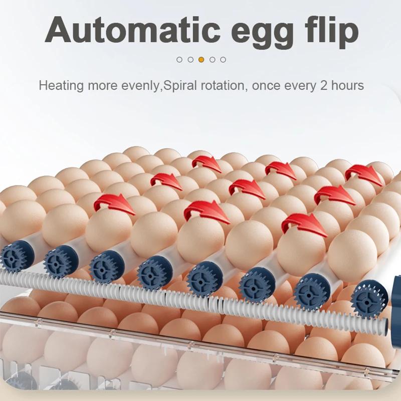 Egg Automatic Incubator for Egg Brooder 110V 220 V Power Plug Dual Duct Warm Air Internal Circulatio Automatic Hatching Egg Farm