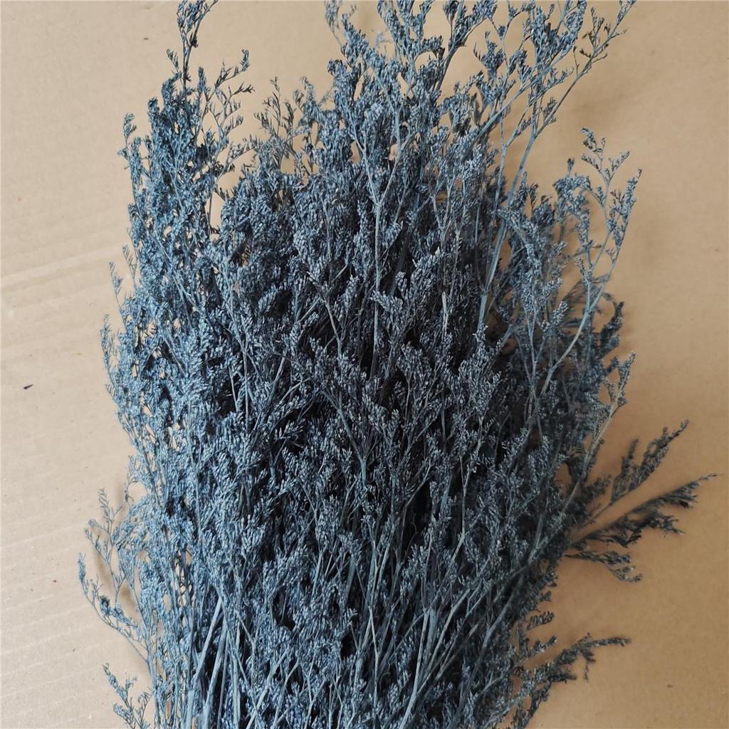 Everlasting White Dried Baby's Breath Flowers for Home Decor and Photography