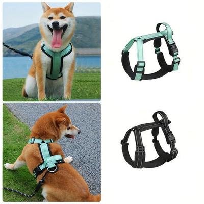 Hunde – Hundehalsbänder & Leinen