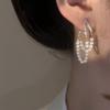 Zircon double-layer pearl fringed earrings fashion French niche earrings temperament light luxury earrings