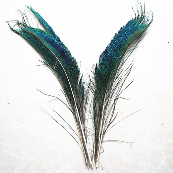 10 buc/lot Pene Naturale de Păun 30-35cm Bijuterii Accesorii pentru Casă Nuntă Crăciun Decorațiune DIY Pană