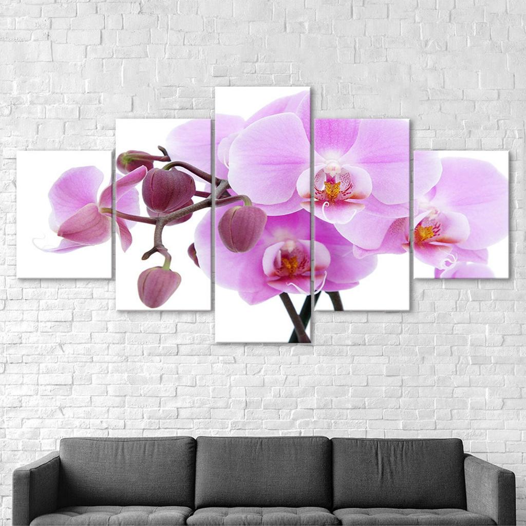 Rosa Orchideenblüte Weißer Hintergrund 5-teilig Fünf-Panel Wand Leinwanddruck Modernes Kunstposter Bild Heimdekoration Geschenk für Ihn Für Sie