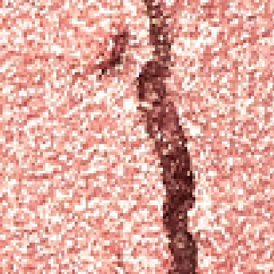 HOLIKA HOLIKA My Favorite Peace Eyeshadow/Gel Tail/Peace Beam/Peace Balm