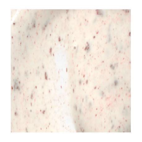 CREME VISAGE MAGIC ALL IN ONE SKIN ESSENCE