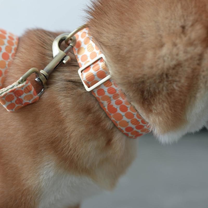 Dog Lovely Pumpkin Collar Leash Comfortable Dog Collar Leash for Medium Dogs Leash Harvest Theme Leash