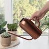 Stainless Steel Watering Can Garden Plants Indoor Outdoor Portable Vintage Style 1300ml Capacity