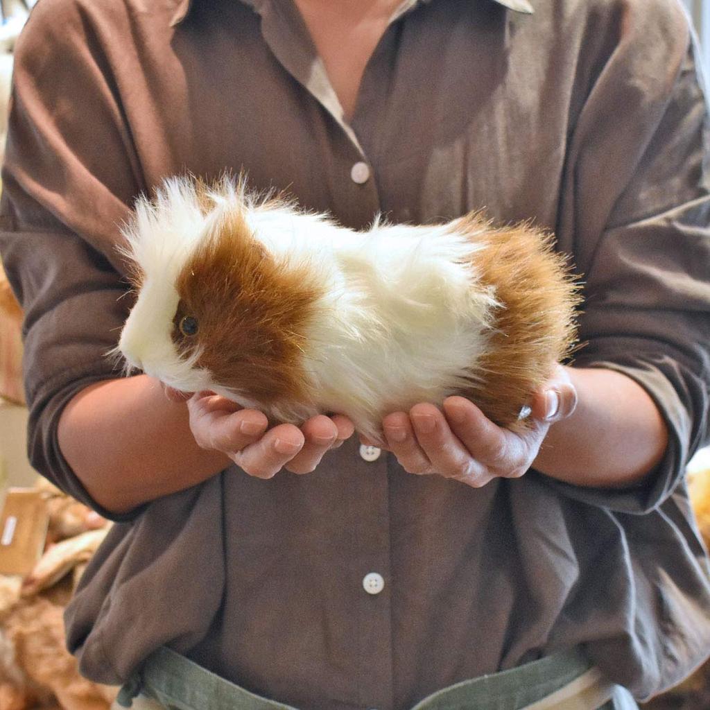 BH3735 HANSA Meerschweinchen 20