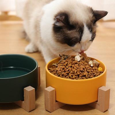 Chats – Gamelles et distributeurs de nourriture pour chats