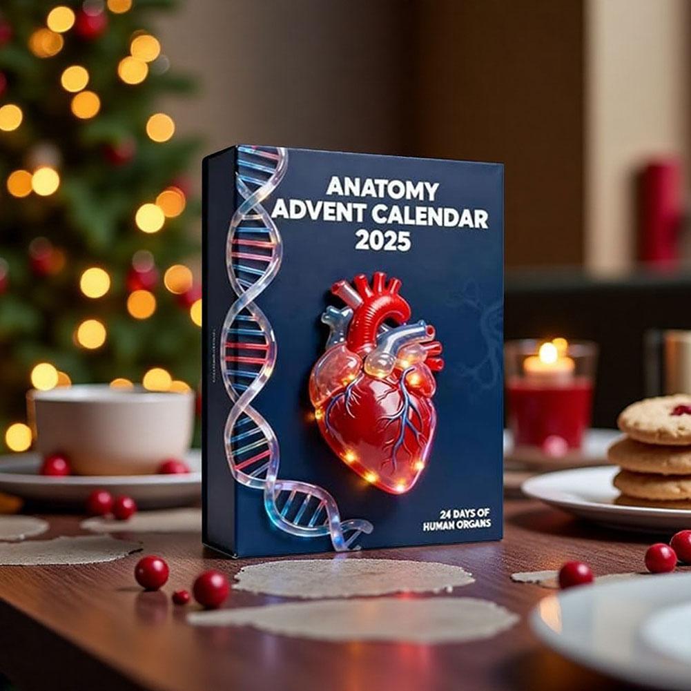 2025 Anatomys Advents Calendar Xmas Tree Hanging Pendants For Christmas Tree Decoration