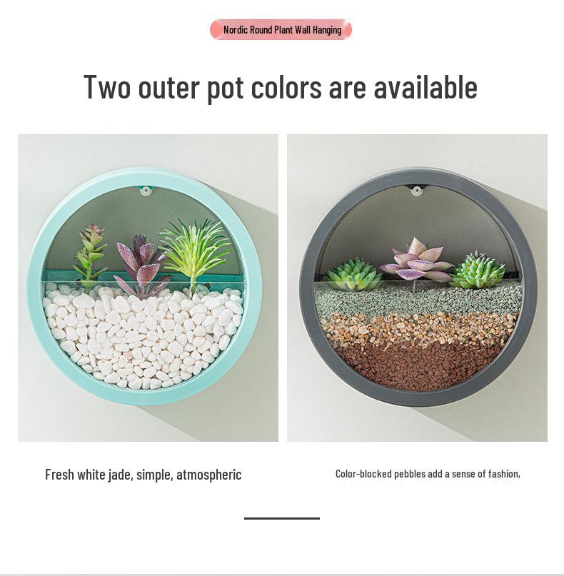 Nordic Wall-Mounted Round Pothos Planter: Creative Green Plant Decor & Fish Tank for Living Room