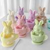 Easter Rabbit Silicone Mold Cute Funny Non-Stick , 3D Rabbit Tea Cup Candle Mold DIY Handicraft Making Bunny Spring Decoration