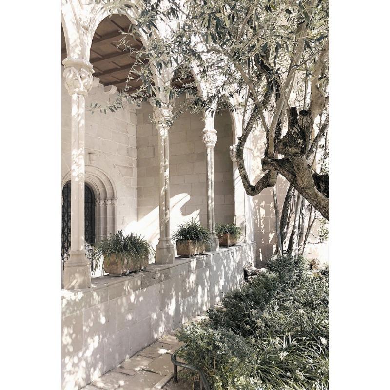 Mediterranean Italy Landscape Olive Trees Countryside Tourism Natural Scenery Posters Canvas Painting Wall Picture Home Decor